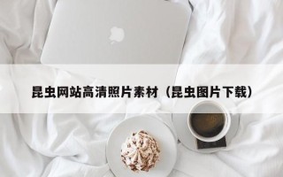 日照昆虫网站高清照片素材（昆虫图片下载）